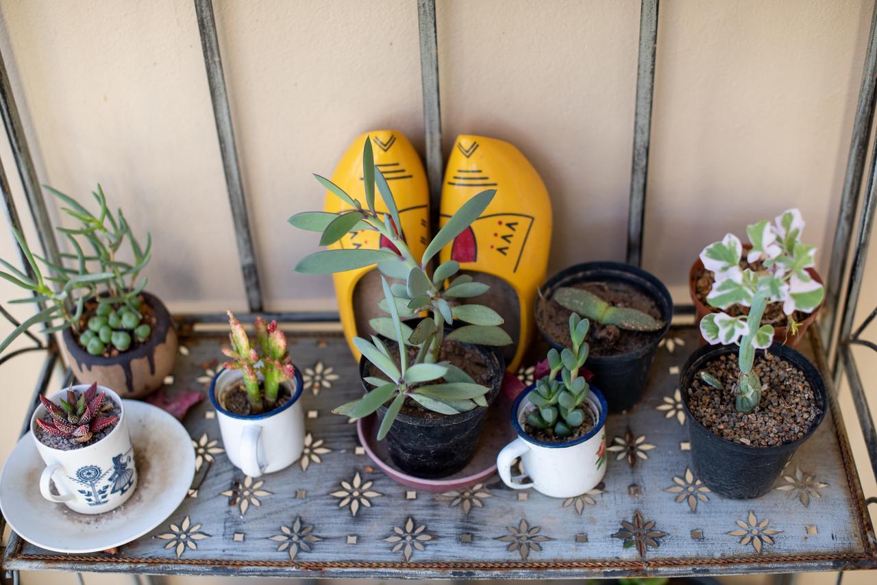 African Tulip Guesthouse Tulbagh Exterior foto
