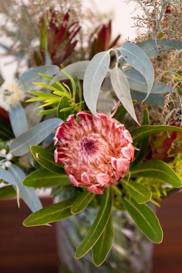African Tulip Guesthouse Tulbagh Exterior foto